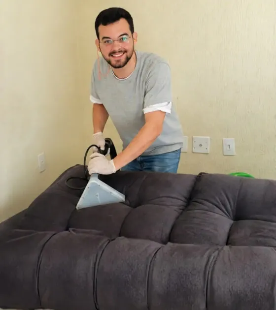 Home Higienização